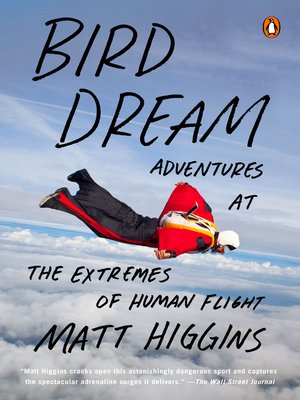 Bird Dream - ebook